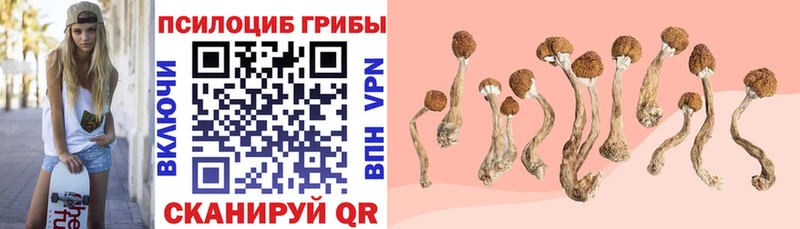 Купить где  Тобольск  Галлюциногенные грибы Magic Shrooms 