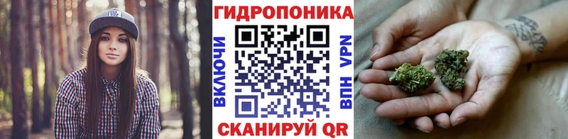 Купить  Тобольск  Бошки марихуана конопля 